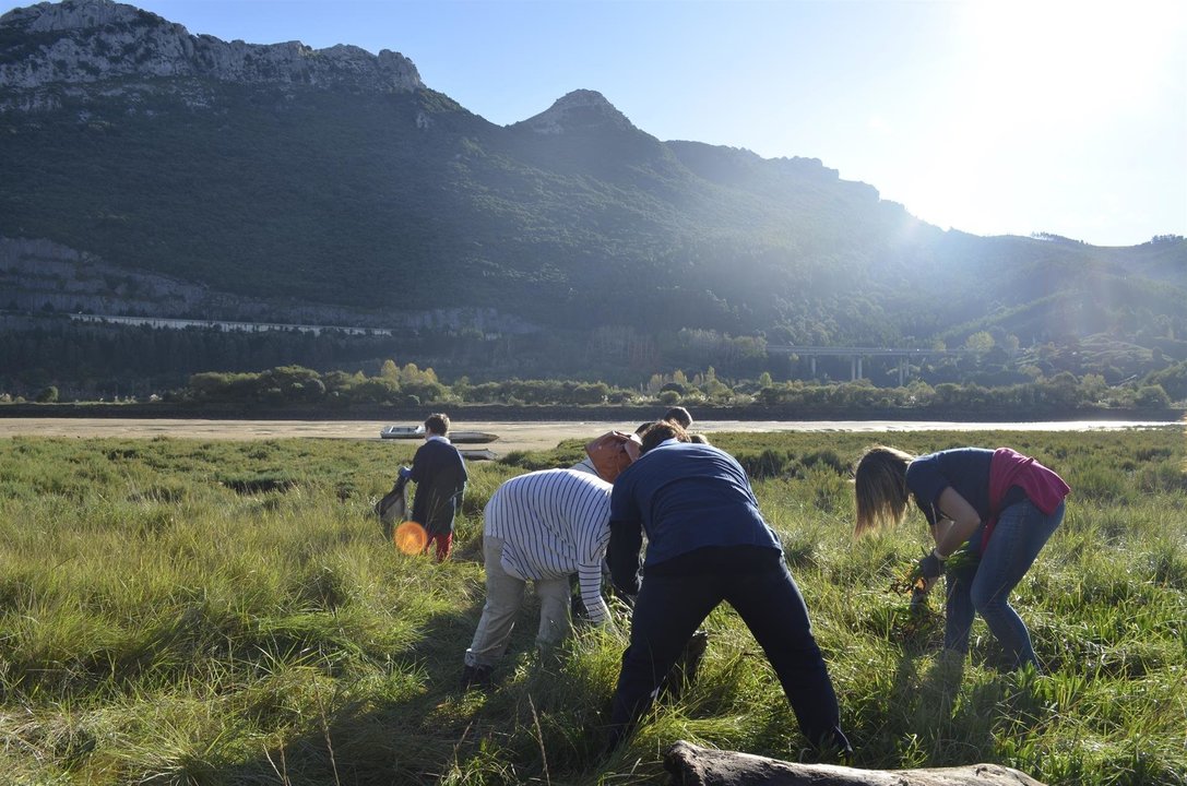 Voluntarios del BBVA en Cantabria recogen residuos en Cantabria